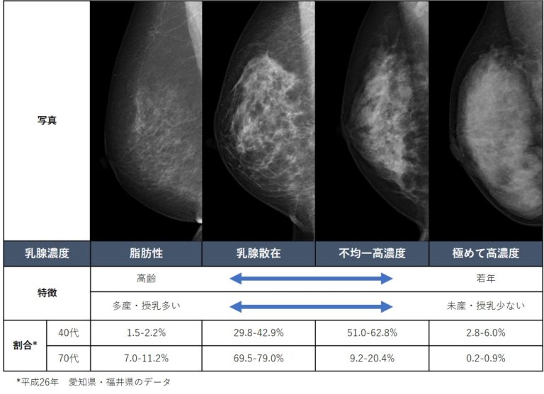 乳がん検診でよく記載されている分類 | 六本木ブレストレディースクリニック | 港区の乳腺外科・婦人科 女医