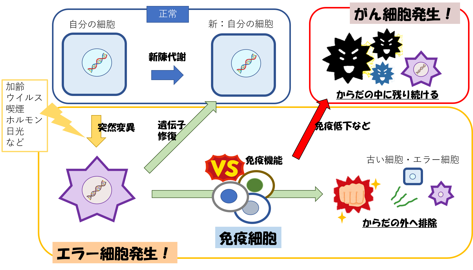 乳がんの予防と検診 乳腺専門医のジレンマ 六本木ブレストレディースクリニック