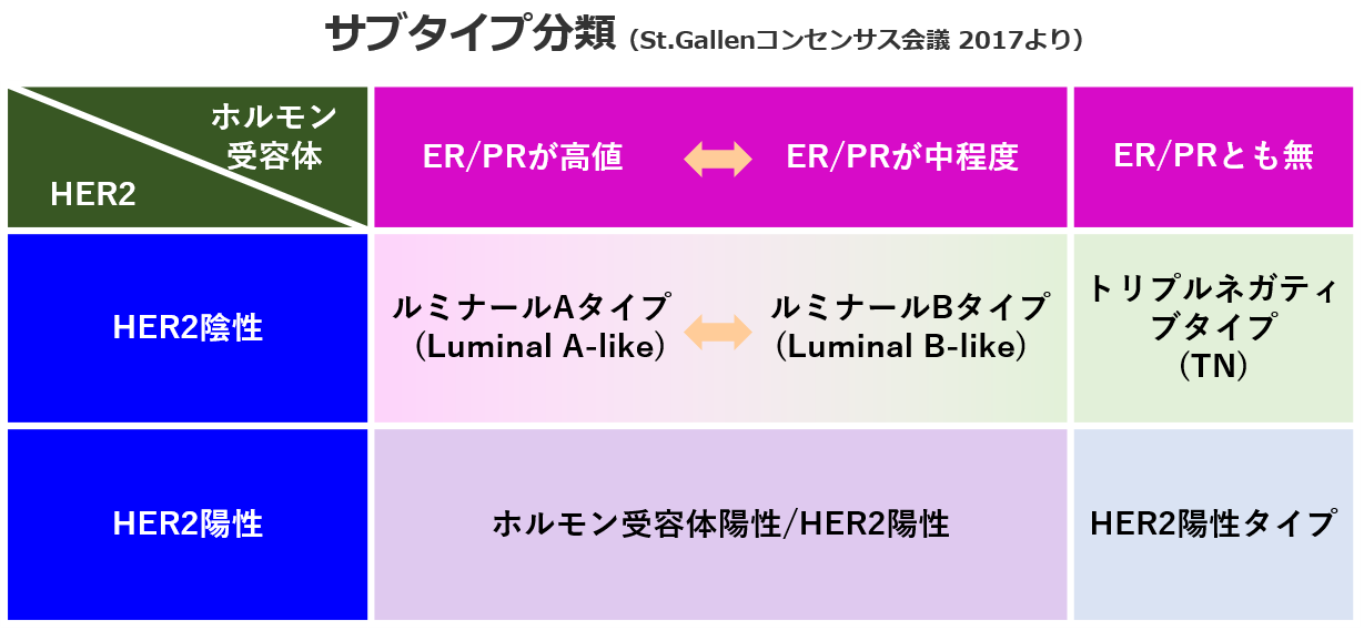 HER2 陽性乳がんは治療後に再発する可能性がありますか?